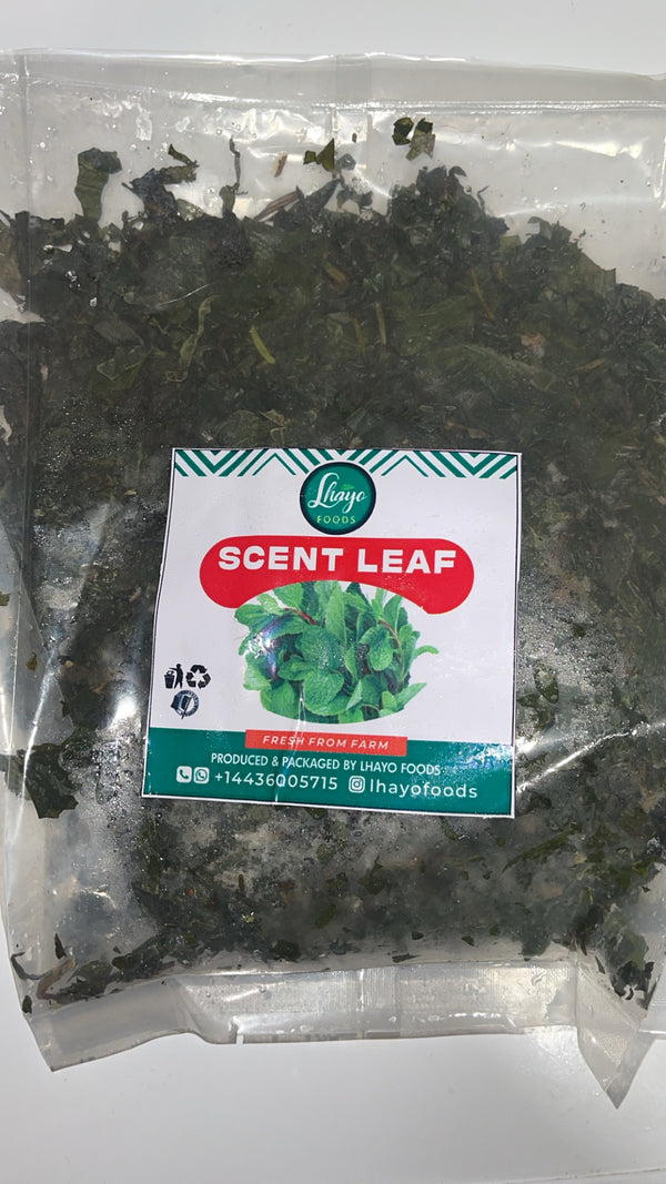 FRESH FROZEN SCENT LEAF