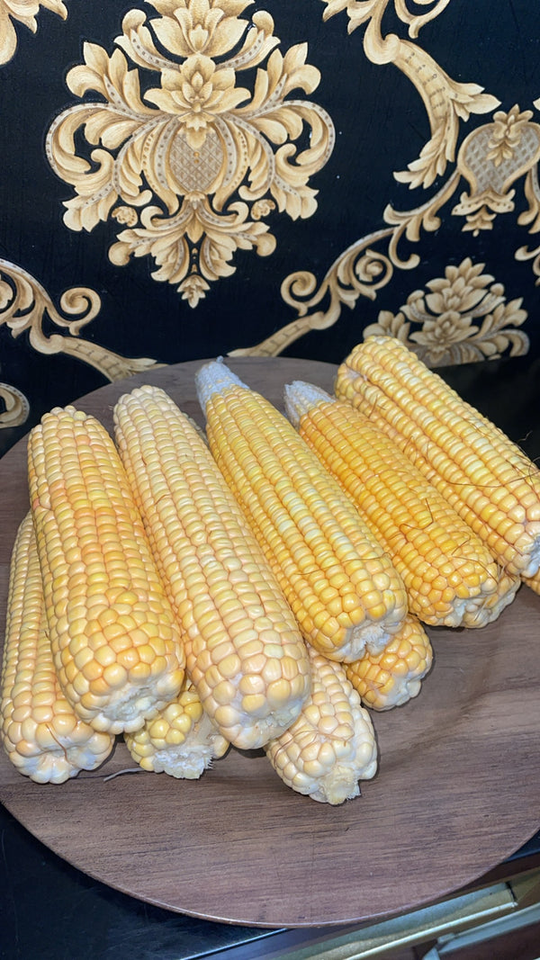 FRESH NIGERIA CORN