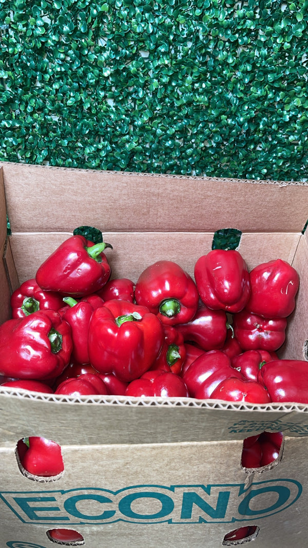 FRESH BELL PEPPER