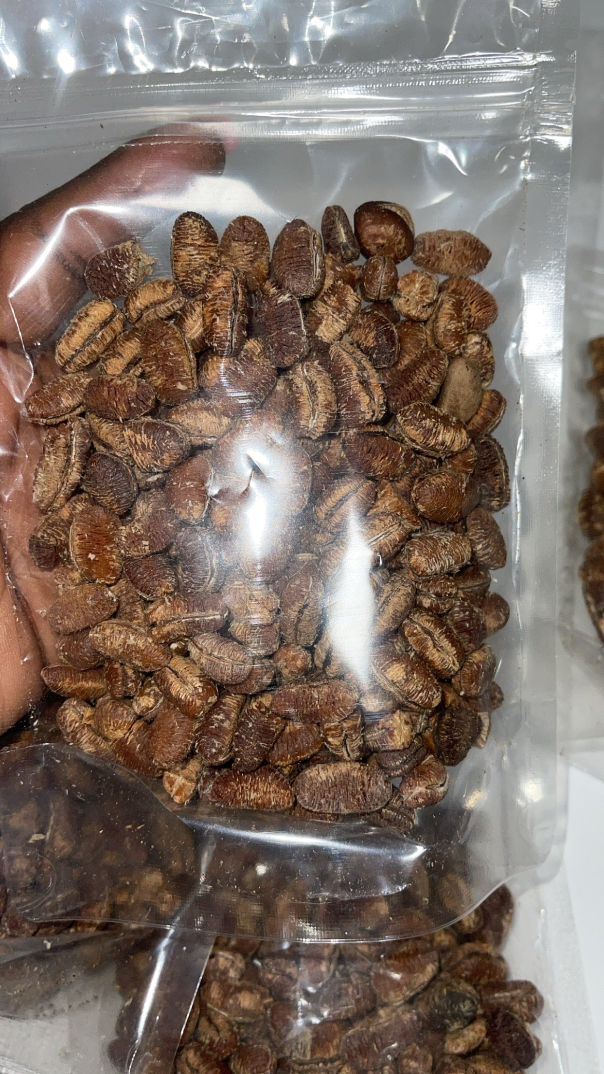 Ehuru AFRICAN NUTMEG/CALABASH NUTMEG/EHURU – Lhayo Foods