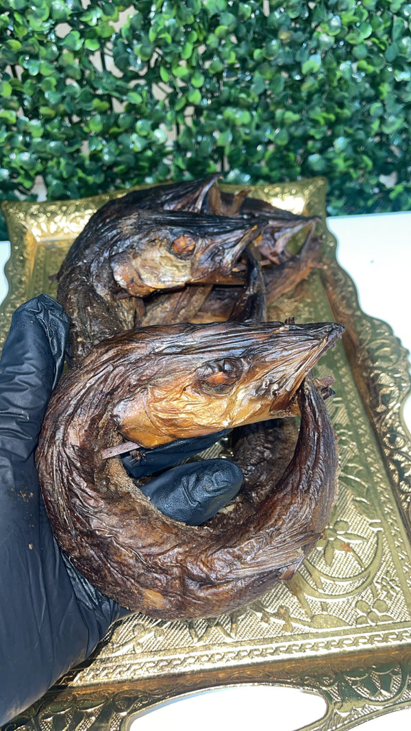 APO FISH