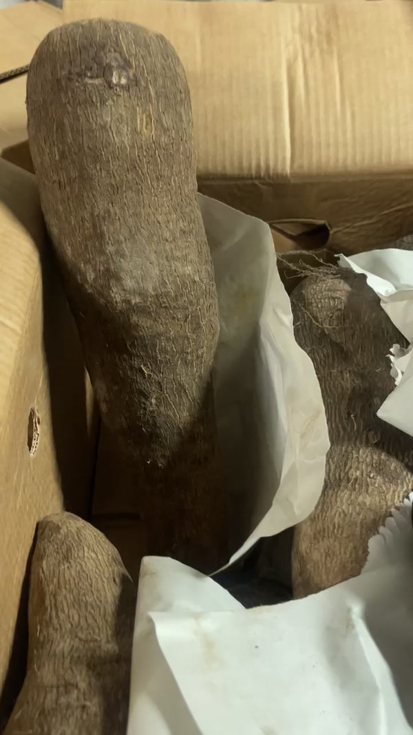 FRESH GHANA NEW YAM