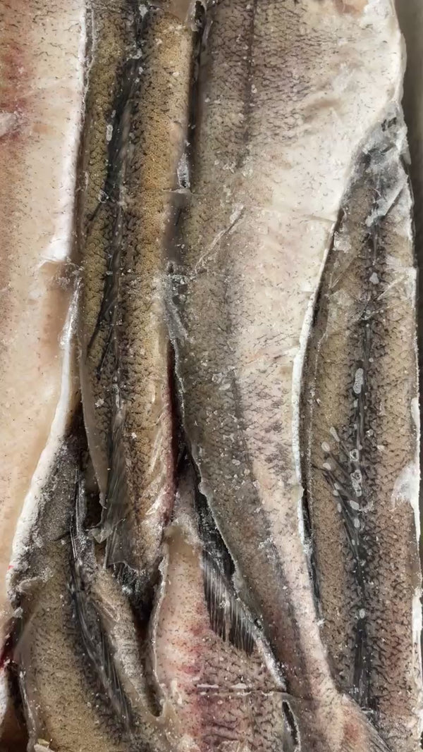 FRESH WHITING/HAKE FISH