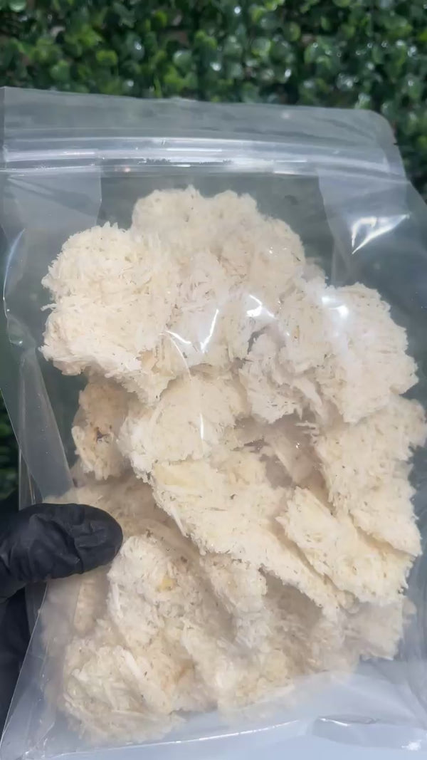KPO KPO GARRI